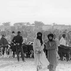 Camel and Sheep Traders at Market
