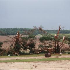 Mauston tornado