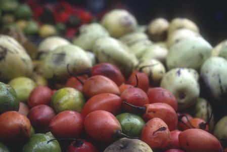 "Pepino" and "tomate" fruits in market, Santo Domingo de los Colorados