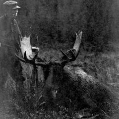 Moose hunting, northeastern Quebec, ca. 1921