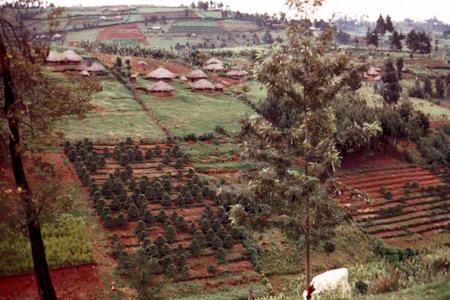 Countryside in Kikuyu Area with Houses and Fields