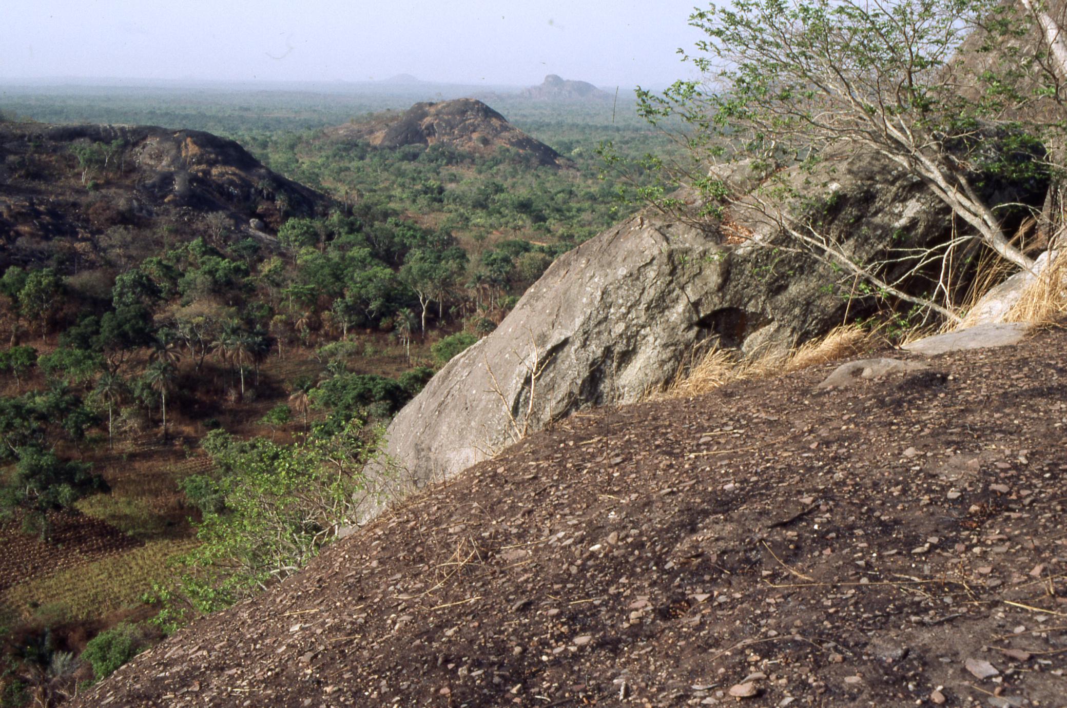 Rocks and vegetation