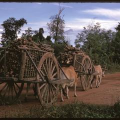 Farmer hauling wood in cart
