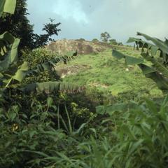 Trees and hills in Ife