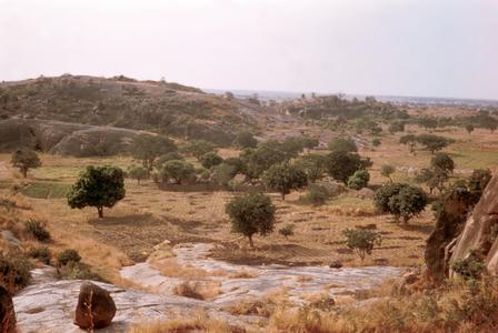 Landscape of Scattered Trees and Savannah near Zaria