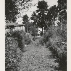 My path from the river '48