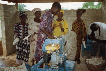 Putting cassava in equipment