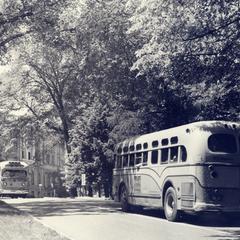 Buses on Observatory Drive