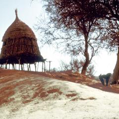 Thatched Granary and Baboon in Savannah Region of Northern Ghana