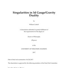 Singularities in 3d Gauge/Gravity Duality