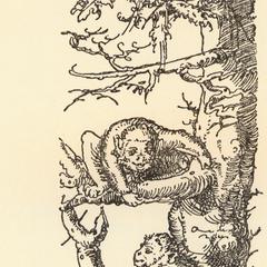 Apes in Tree