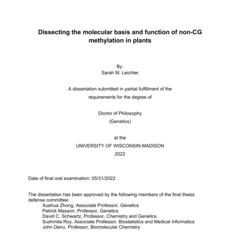 Dissecting the molecular basis and function of non-CG methylation in plants