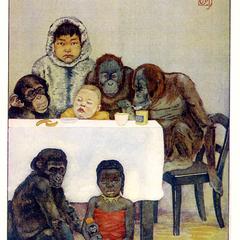 Great Apes Print
