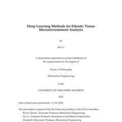Deep Learning Methods for Fibrotic Tissue Microenvironment Analysis