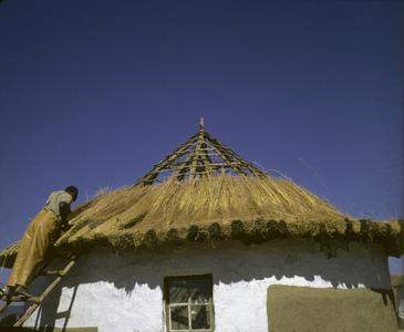 Southern Africa : Domestic Activities : building a house, building the roof