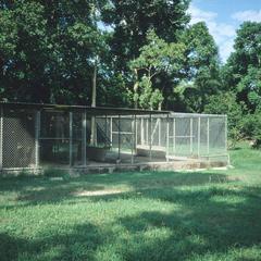 Caribbean Primate Research Center