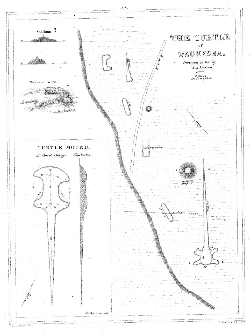 XIX. The Turtle at Waukesha. Surveyed in 1836 by I. A. Lapham. Scale. 100 ft. to an Inch. / Turtle Mound, At Carrol College&mdash;Waukesha. 40 feet. to an Inch