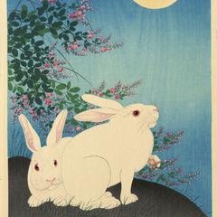 Two White Rabbits and Bush Clover, a Full Moon Above