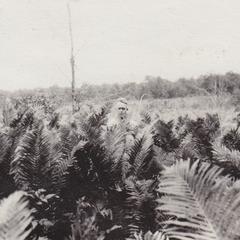1918 Training camp - geologist in ferns