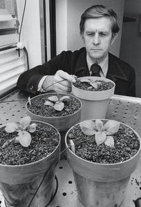 Theodore W. Tibbits, horticulture
