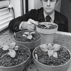 Theodore W. Tibbits, horticulture