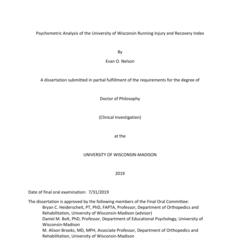 Psychometric Analysis of the University of Wisconsin Running Injury and Recovery Index