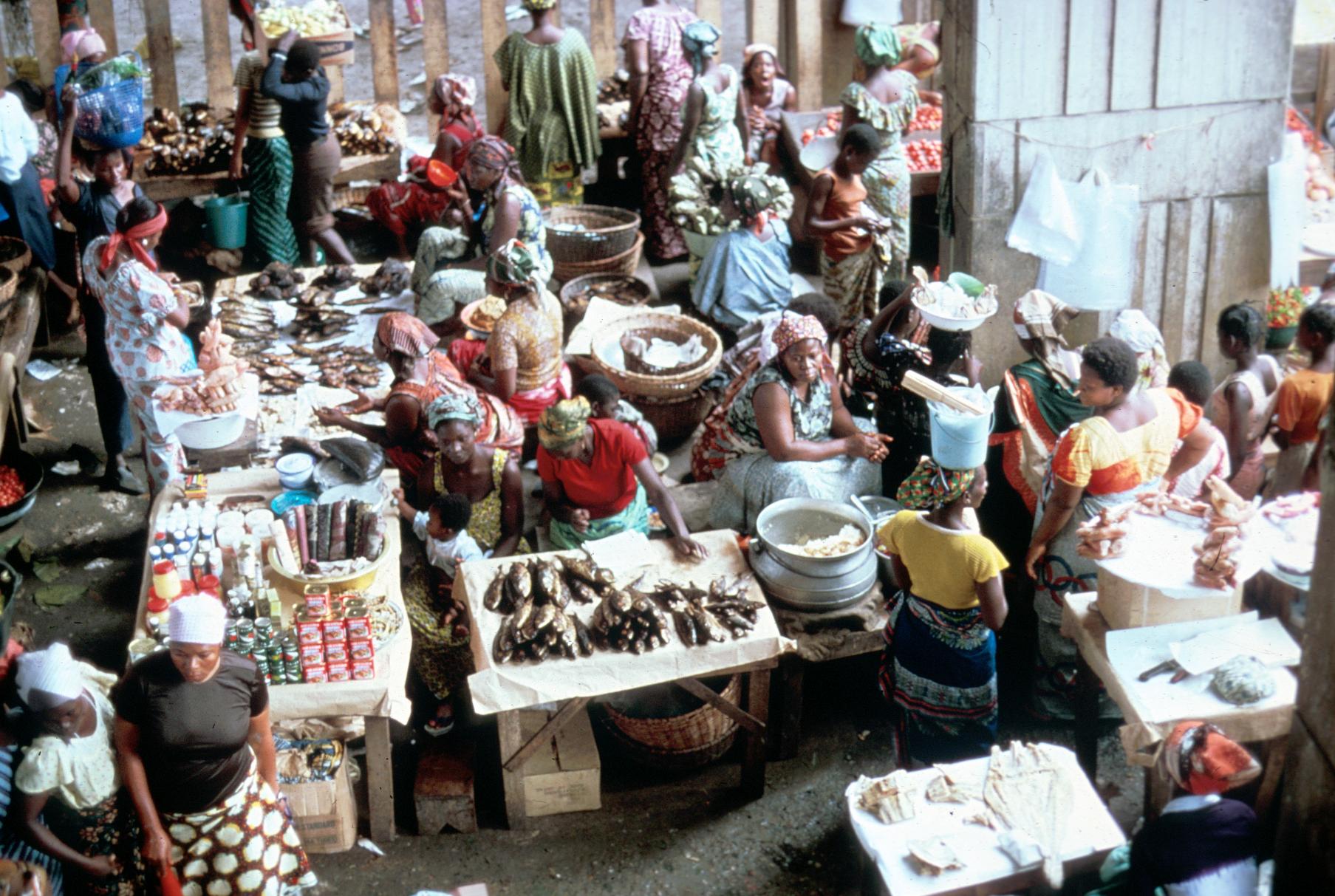 Fish Section in Central Market in Abidjan