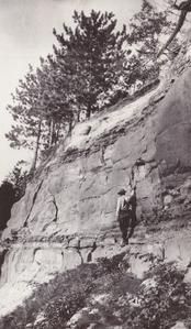 Sandstone cliffs and clay ball horizon