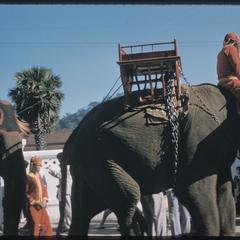 2500th Anniversary of Buddhism : parade, elephants