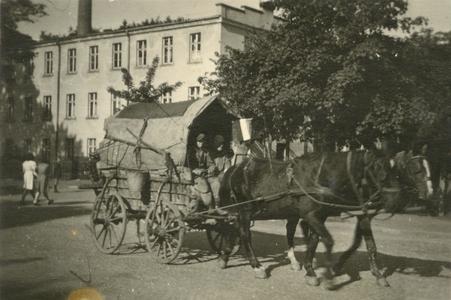 Horse-drawn vehicle