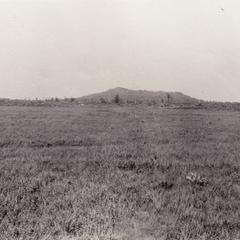 North Mound