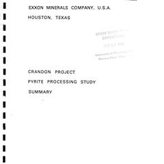 Pyrite processing study : Crandon Project