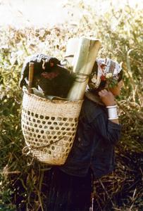 An Akha woman carries banana stalks in Houa Khong Province