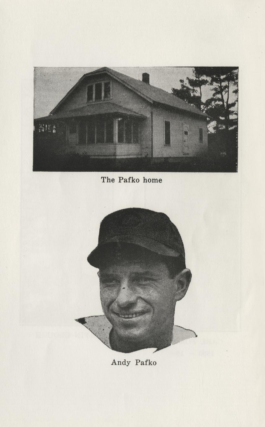 Panorama of progress the history of Boyceville, Wisconsin 18601960