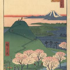 The New Mt. Fuji in Meguro, no. 24 from the series One-hundred Views of Famous Places in Edo