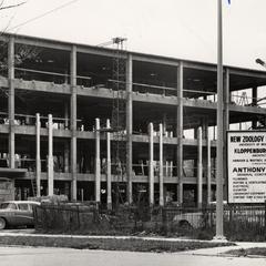 Construction of the Zoology Research Building