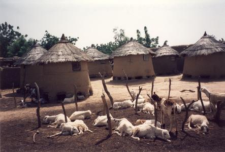 Goats and Granaries