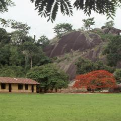 Trees and hill in Idanre