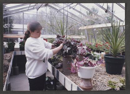 Student in UW-Washington County greenhouse