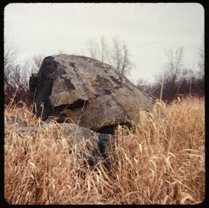 Boulder in the Lost City area, University of Wisconsin–Madison Arboretum