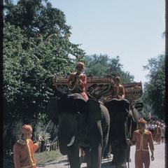 2500th Anniversary of Buddhism : parade, elephants