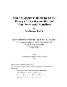 Some asymptotic problems on the theory of viscosity solutions of Hamilton–Jacobi equations