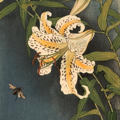 Bees and Lilies