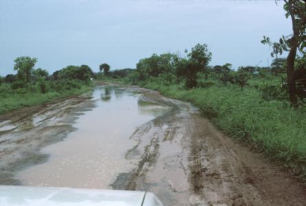 Dirt Road in Rainy Season