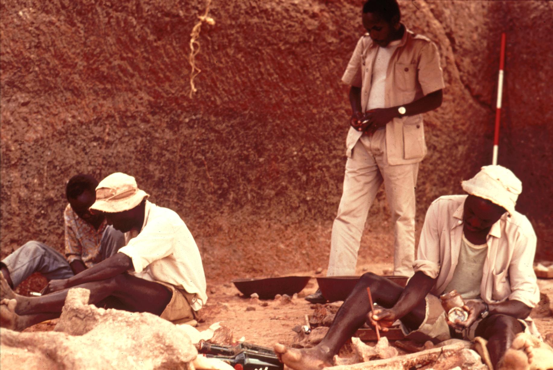 Workers Excavating a Fossil in Olduvai Gorge