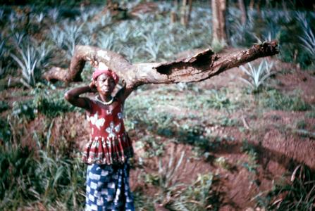 Kissi Woman Carrying Firewood to Cook Dinner