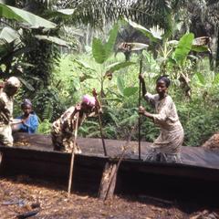 Palm oil preparation