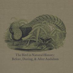 The bird in natural history  : before, during, & after Audubon