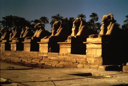 Ram-headed Sphinxes at Entry Way to Karnak Temple