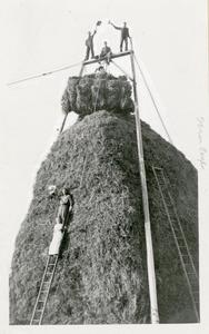Gigantic haystack